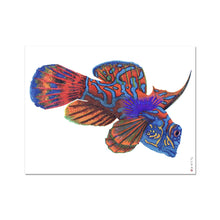 Load image into Gallery viewer, Mandarin Fine Art Print
