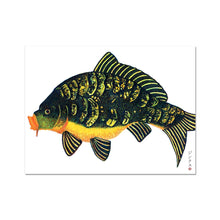 Load image into Gallery viewer, Apple-slice carp Fine Art Print
