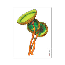 Load image into Gallery viewer, Green cup mushroom Fine Art Print
