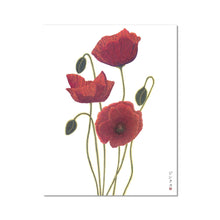 Load image into Gallery viewer, Sunset poppies Fine Art Print
