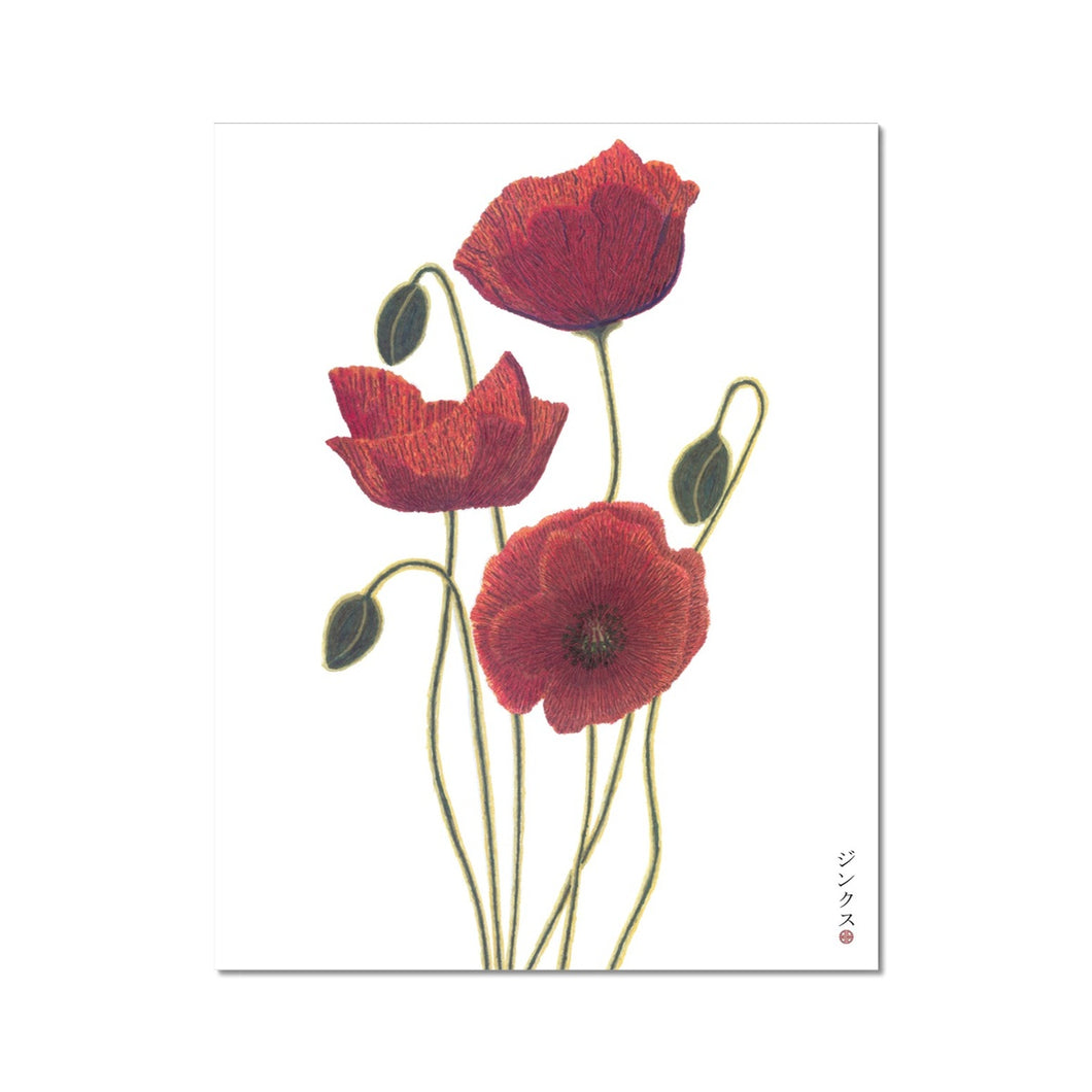 Sunset poppies Fine Art Print