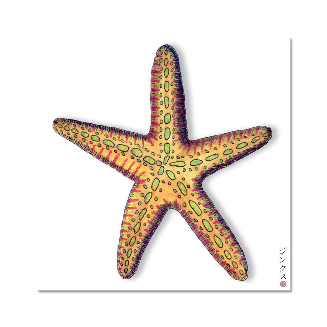 Starfish Fine Art Print