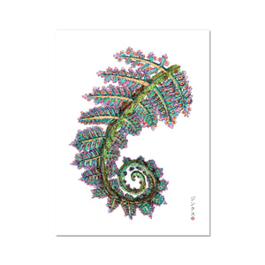 Circinate vernation Fine Art Print